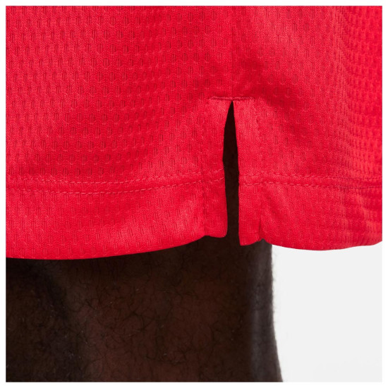 Nike Ανδρικό σορτς Dri-FIT Icon+ 8'' Shorts